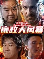 《追龙番外篇之廉政大风暴》电影免费在线观看完整版HD中字高清全集