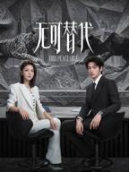 《无可替代》连续剧